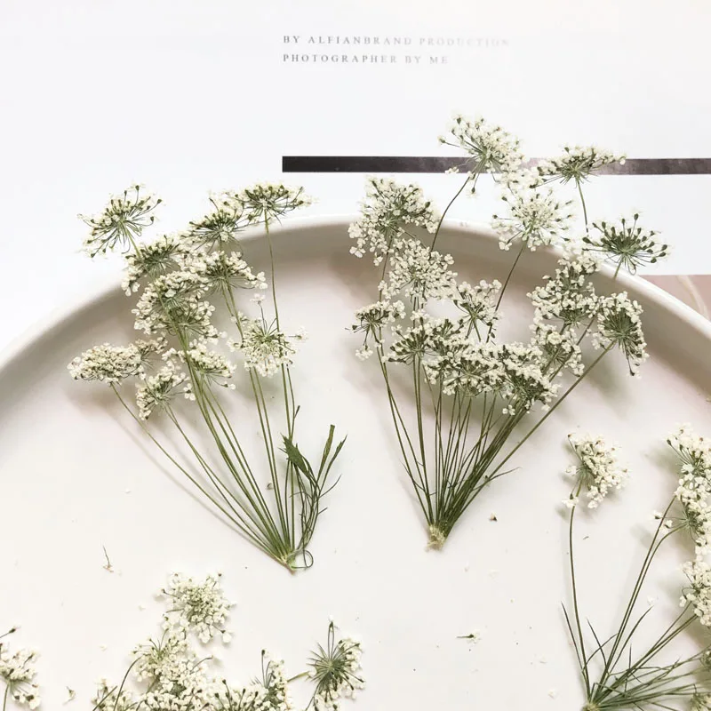 Craft Embellishments - 5-7 см/12 шт., снежные крошечные цветы