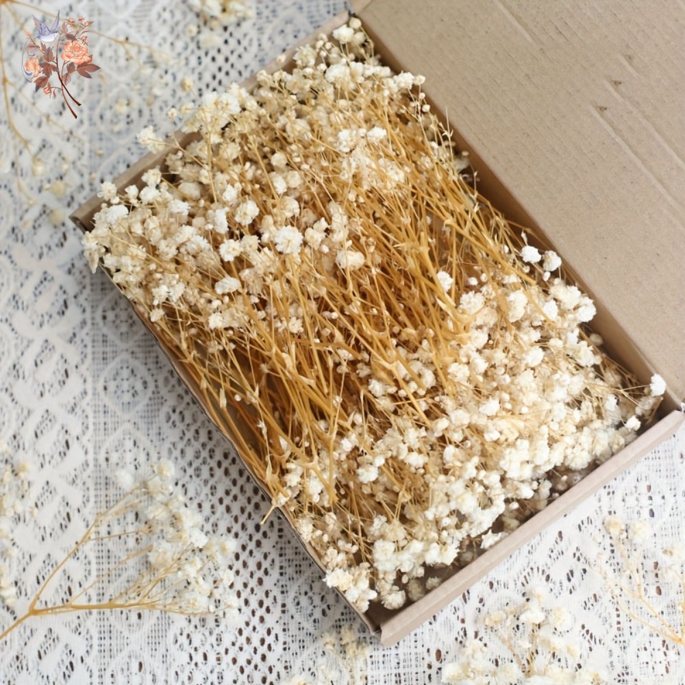 100 шт. миниатюрных сушеных цв – обзор и цена Craft Embellishments