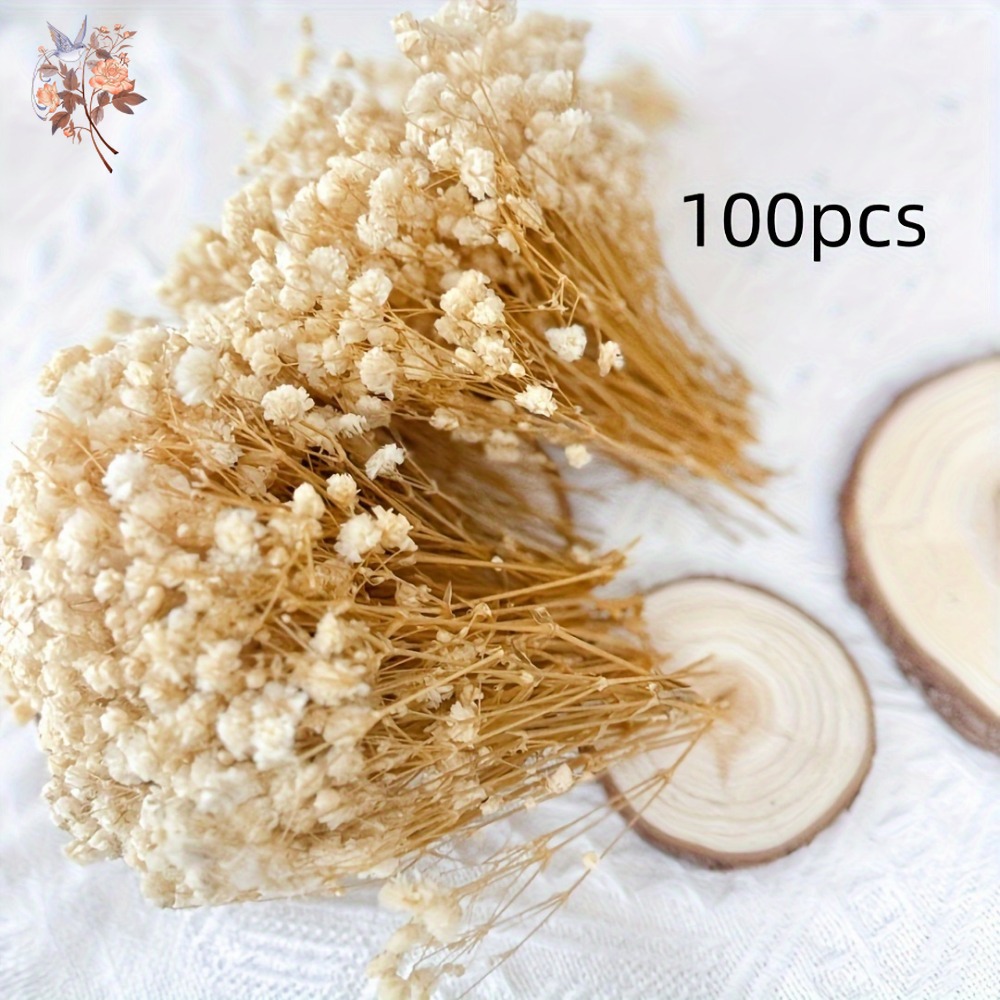 100 шт. миниатюрных сушеных цв – обзор и цена Craft Embellishments