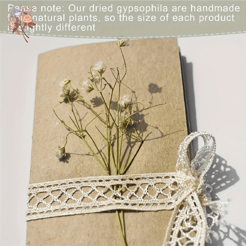 100 шт. миниатюрных сушеных цв – обзор и цена Craft Embellishments